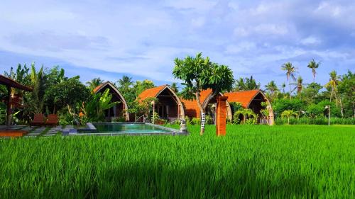 Deluxe Double or Twin Room with Mountain View