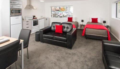 Large One-Bedroom Apartment