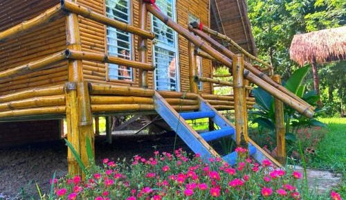 King Room with Garden View