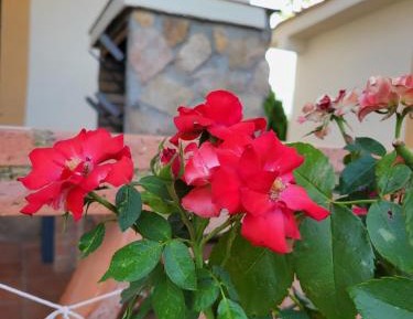 Four-Bedroom Holiday Home