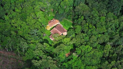 Villa with Garden View