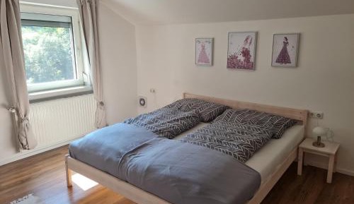 Deluxe One-Bedroom Apartment