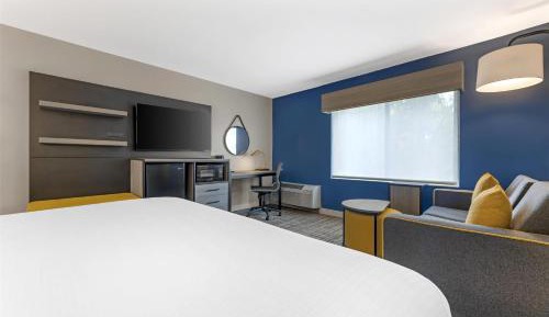 King Room with Bath Tub and Sofa Bed - Disability Access/Non-Smoking
