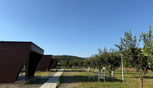 Double Room with Mountain View