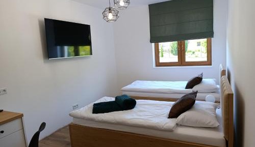 Economy Twin Room
