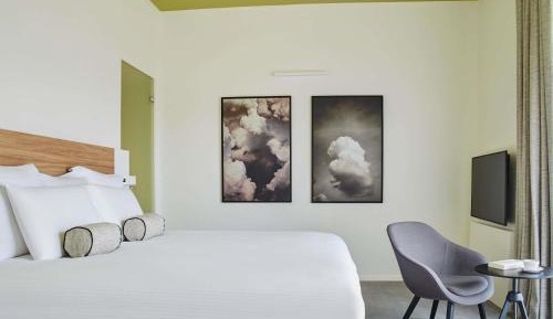 Executive Suite with One King Bed and Sofa - Forest View
