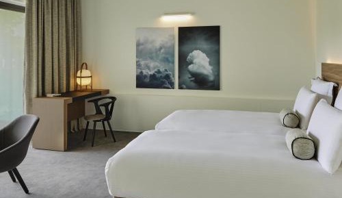 Superior King Room with Terrace and Forest View