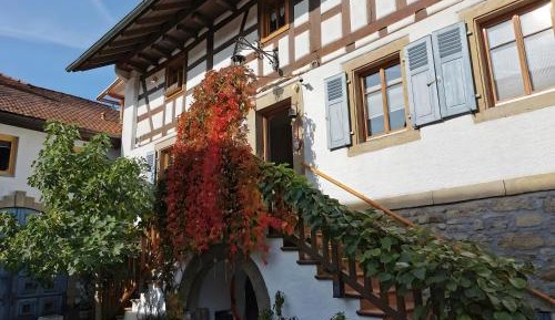 Three-Bedroom Superior Apartment