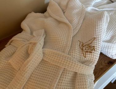 Superior Double or Twin Room with Mountain View