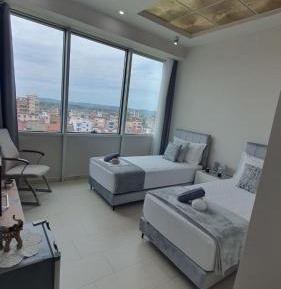 Deluxe Double or Twin Room with City View