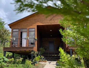 Villa with Garden View