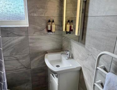 Deluxe One-Bedroom Apartment