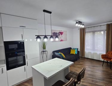 Deluxe One-Bedroom Apartment with City View