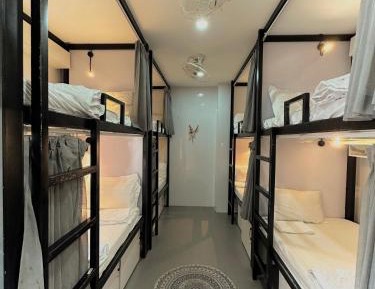 Bed in 8-Bed Mixed Dormitory Room