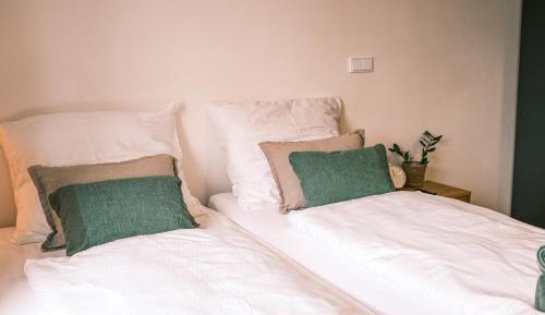Double or Twin Room with Private Bathroom