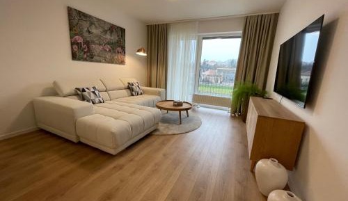 Deluxe One-Bedroom Apartment with City View
