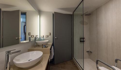 Deluxe King Room with Garden Access