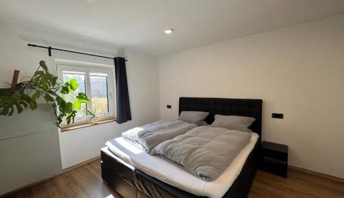 Superior One-Bedroom Apartment
