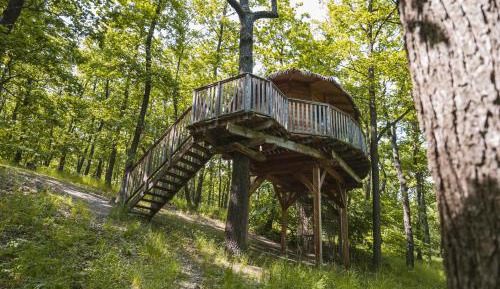 One-Bedroom Chalet