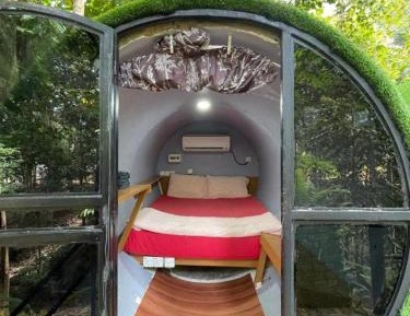 Single Room with Garden View