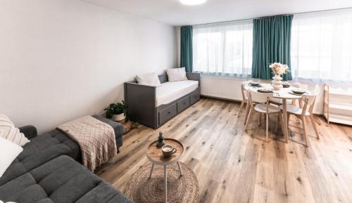 Apartment with Mountain View