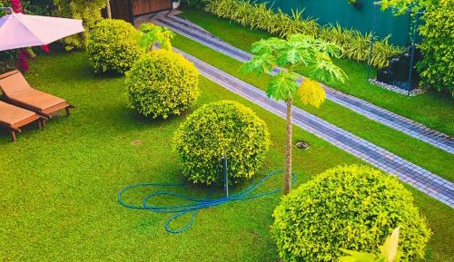 Villa with Garden View