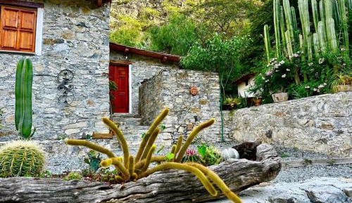 Three-Bedroom Holiday Home 