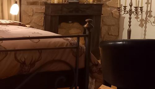 Superior One-Bedroom Apartment