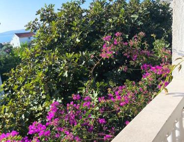 Two-Bedroom Apartment with Terrace