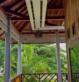 Deluxe Double Room (2 Adults + 1 Child)