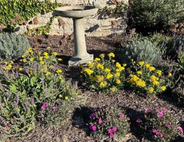 Deluxe Double Room with Bath