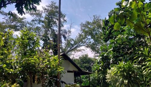 Cottage with Garden View