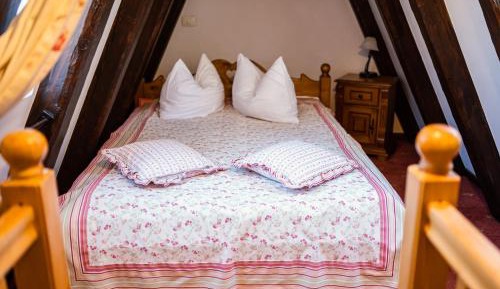 Double Room with Mountain View
