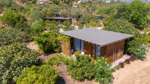 One-Bedroom Apartment with Garden