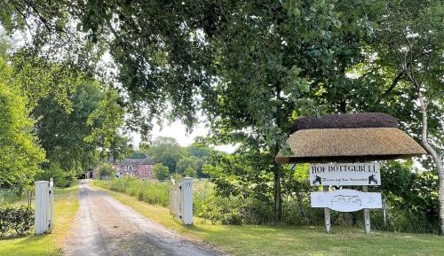 Apartment with Terrace