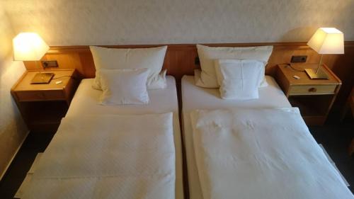 Double or Twin Room with Garden View