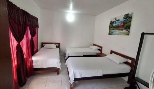 Double or Twin Room