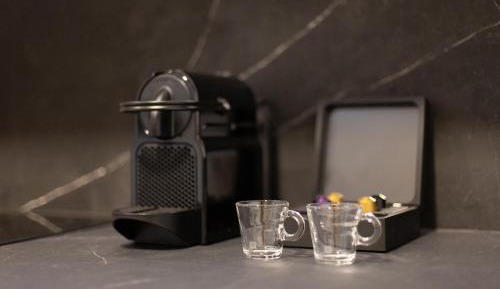 Twin Studio Apartment