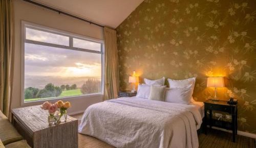 Junior Suite with Garden View