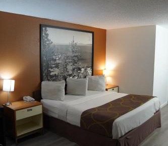 King Room - Non-Smoking