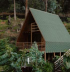 Superior Family Room