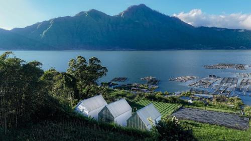 Double Room with Lake View