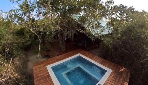 Luxury Owl Tent with Private Pool (10% off on Wildlife Safaris)