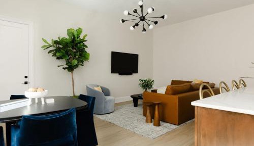 Deluxe One-Bedroom Apartment