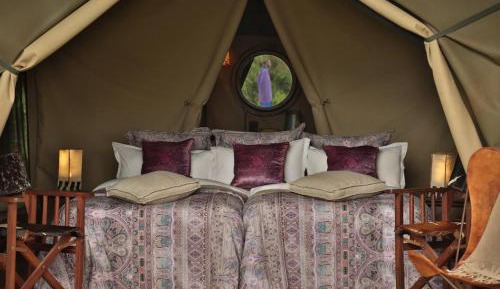 Deluxe Tent
