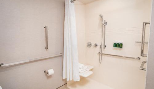 Studio King Suite with Sofa Bed and City View - Mobility/Hearing Accessible with Roll-In Shower