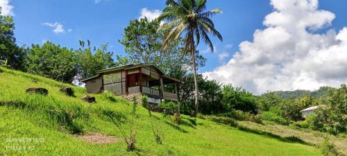 Double Room with Park View