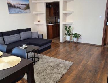 Classic Apartment