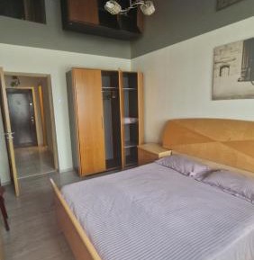 One-Bedroom Apartment with View
