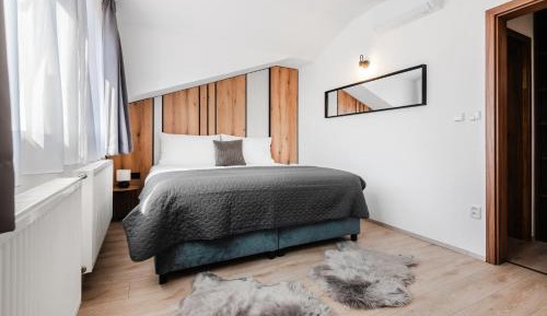 One-Bedroom Deluxe Apartment